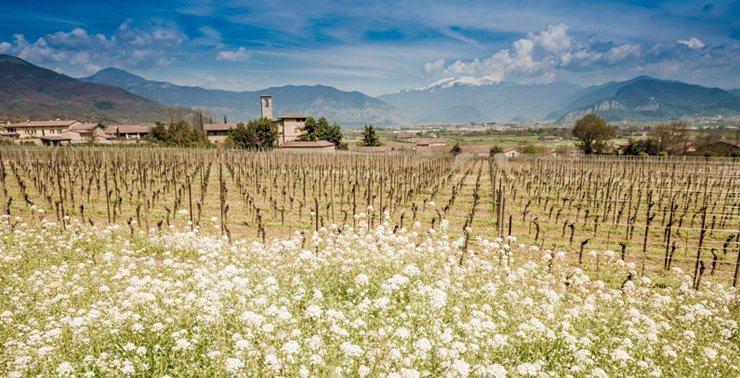 franciacorta