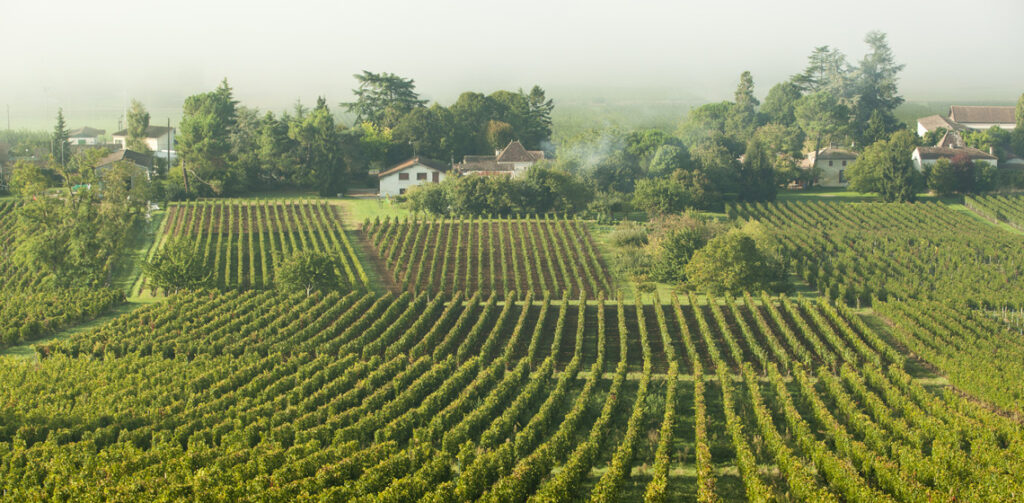 Castillon-Cotes-de-Bordeaux-7