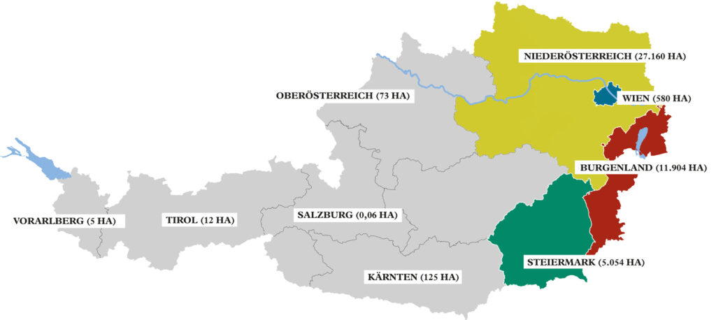 Weinbaugebiete_Generisch_12_21