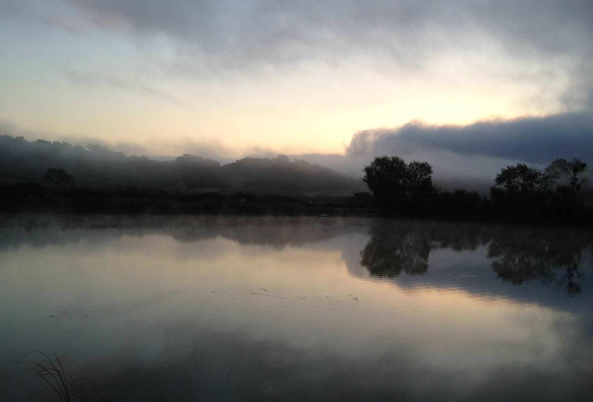 Picking-Calera-Chard-at-Hyde-Vyrd-shot-of-the-lake-2013