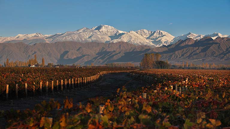 mendoza-precordillera