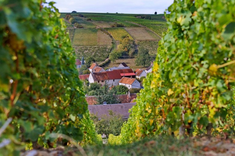 sancerre